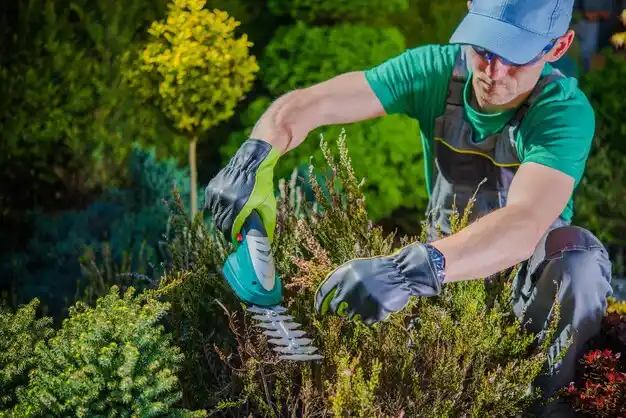 landscaping services Minster